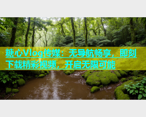 糖心Vlog传媒：无导航畅享，即刻下载精彩视频，开启无限可能  第1张