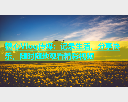 糖心Vlog传媒：记录生活，分享快乐，随时随地观看精彩视频  第1张