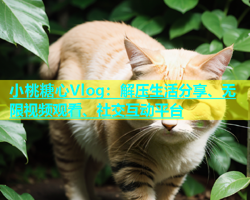 小桃糖心Vlog：解压生活分享、无限视频观看、社交互动平台  第2张