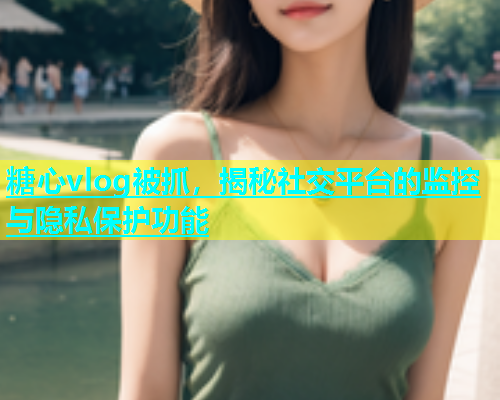 糖心vlog被抓，揭秘社交平台的监控与隐私保护功能  第1张